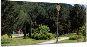 Vászonkép 115x55 Zöld park fákkal