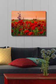 Kanvas vászonkép, 50×70 cm – TR529TCR1101