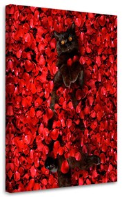 Gario Vászonkép Fekete macska és piros rózsák - Galina Bugaevskaya Méret: 40 x 60 cm
