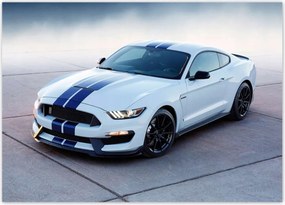Poszterek 70x50 Ford Mustang Shelby