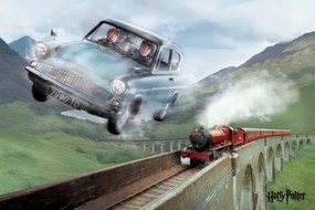 Művészi plakát Harry Potter - Ford, (40 x 26.7 cm)