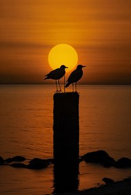 Poszter 68x101cm Beszélgetések alkonyatkor