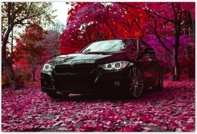 Poszterek 200x135 Fekete Bmw Ősz