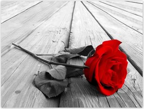 Poszterek 40x30 Vörös rózsa a hídon