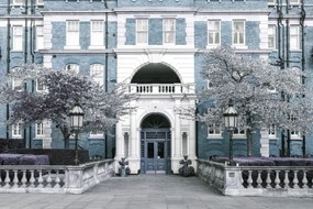 Poszter 60x40cm Albert bíróság épülete, Assaf Frank