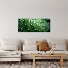 Kép - Részlet levél eső után (120x50 cm)