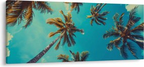 Kép - Magas pálmafák (120x50 cm)
