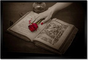 Poszterek keretben 60x40 Vörös rózsa a könyvön