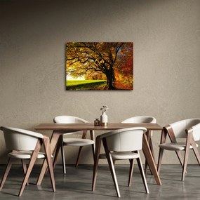 Egy őszi fa képe (70x50 cm)