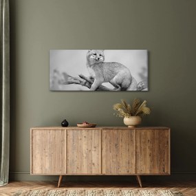 Kép - Szürke róka (120x50 cm)