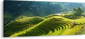 Kép - Rice Terraces koncert (120x50 cm)