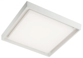 REDO-9189 BEZEL Fehér színű Kültéri Mennyezeti Lámpa LED 30W IP54