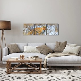 Kép - Róka (órával) (90x30 cm)