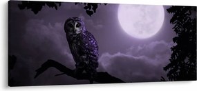 Kép - Éjjeli bagoly, lila (120x50 cm)