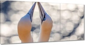 Vászonkép 180x90 Madarak