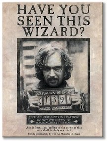 Vászonkép Harry Potter (Wanted Sirius Black) 60x80cm