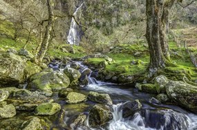 Poszter 86,4x56,8cm Aber 2 vĂzesĂ©s, Assaf Frank