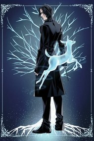 Művészi plakát Harry Potter - Snape's Patronus