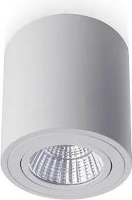 RENDL MAYO R mennyezeti billenthető fehér 230V LED 9W 36° 2700K