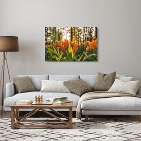 Kép - tulipánok (90x60 cm)