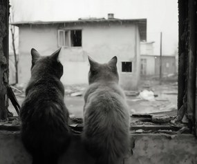 Poszter 60x50cm Gondolatok az elhagyatott küszöbről