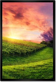 Poszterek keretben 40x60 Szőlőbirtok Tájkép