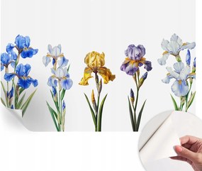 Fotótapéta Fali tapéta Hálószobába és Nappaliba Írisz virágok 104x70 cm