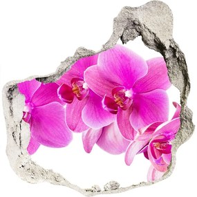 3d-s lyuk vizuális effektusok matrica Rózsaszín orchidea nd-p-67673367