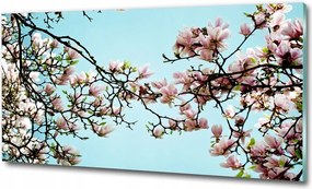 Fotó üvegkép Filc tulipánok 100x70