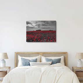 Pipacsos kép (70x50 cm)