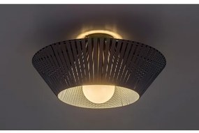 Rabalux 71248 - Mennyezeti lámpa RAVEN 1xE27/6W/230V