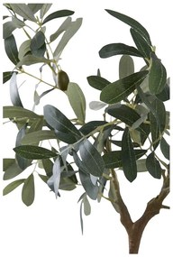 Olajfa műnövény (magasság 61 cm) – House Nordic