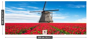Fotótapéta tulipán, szélmalom 104x70 cm