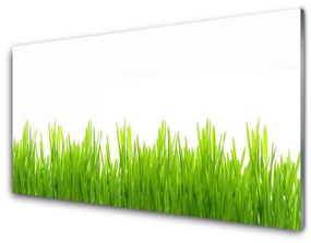 Modern üvegkép Grass Nature Plant 120x60cm 2 fogas