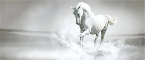 Kép - Fehér ló (120x50 cm)