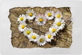 Poszter 60x40 Kamilla szív