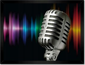 Poszterek keretben 40x30 Mikrofon