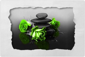 Poszterek 90x60 Lime rózsa Spa