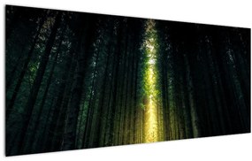 Sötét erdő képe (120x50 cm)