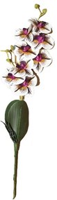 Colombo mű orchidea szál élethű művirág