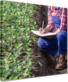 Festmények 30x30 Modern mezőgazdaság