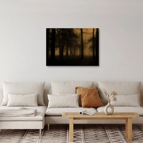Kép - Sötét erdő (70x50 cm)