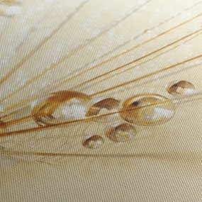 Kép - Makro fotó pitypangról (órával) (90x30 cm)