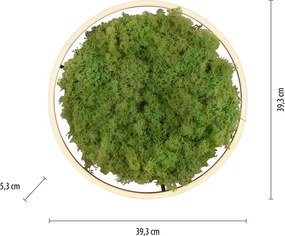 Paul Neuhaus modern skandináv mennyezeti lámpa green ritus zöld pln15391-66