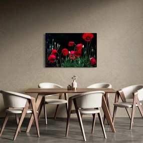 Kép - Pipacsok tánca (90x60 cm)