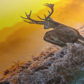 Kép - Szarvas napfelkeltekor (120x50 cm)