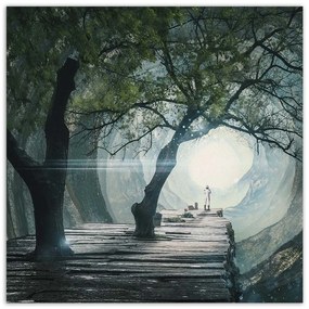 Gario Vászonkép Híd egy barlangban - Zehem Chong Méret: 40 x 40 cm