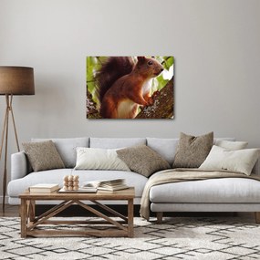 Mókus kép (70x50 cm)