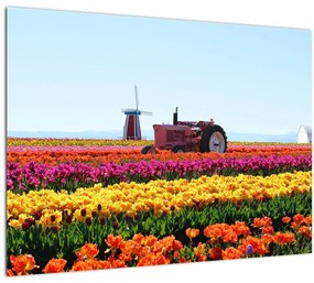 Tulipánfarm képe (üvegen) (70x50 cm)