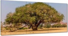 Festmények 120x60 Fa Fák Kilátás